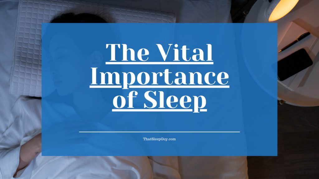 vital importance of sleep FEATURED